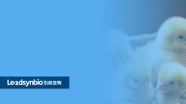 为什么说水溶性25-羟基维生素D₃ 是一个伪命题 ？｜产品科普